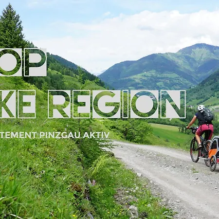 Zellamsee Aktiv 아파트 *