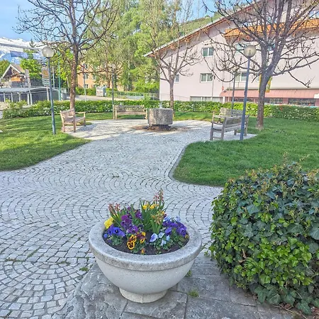 Zellamsee Aktiv * 젤암제