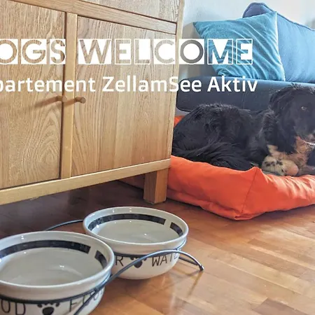 Zellamsee Aktiv * 젤암제