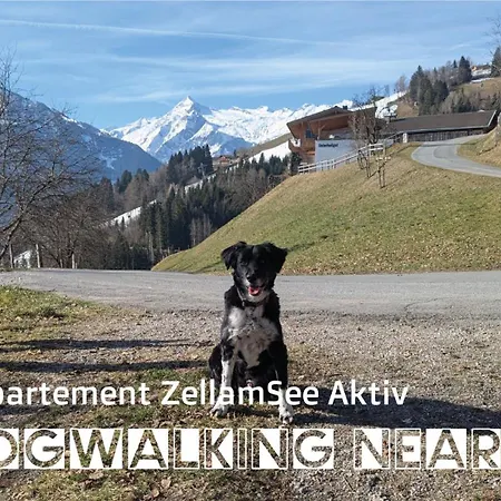 Apartament Zellamsee Aktiv Zell am See