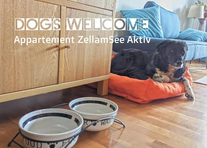 Zellamsee Aktiv * Zell am See
