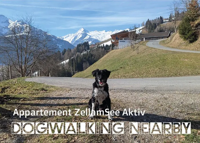 Lägenhet Zellamsee Aktiv Zell am See